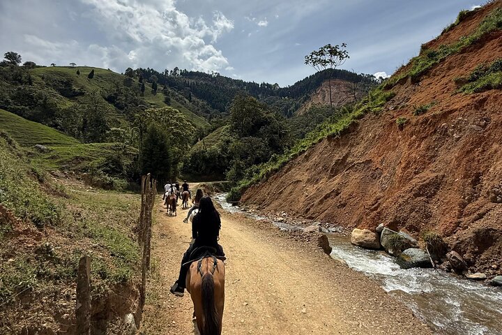 Scenic Horseback Riding in the Medellín Mountains