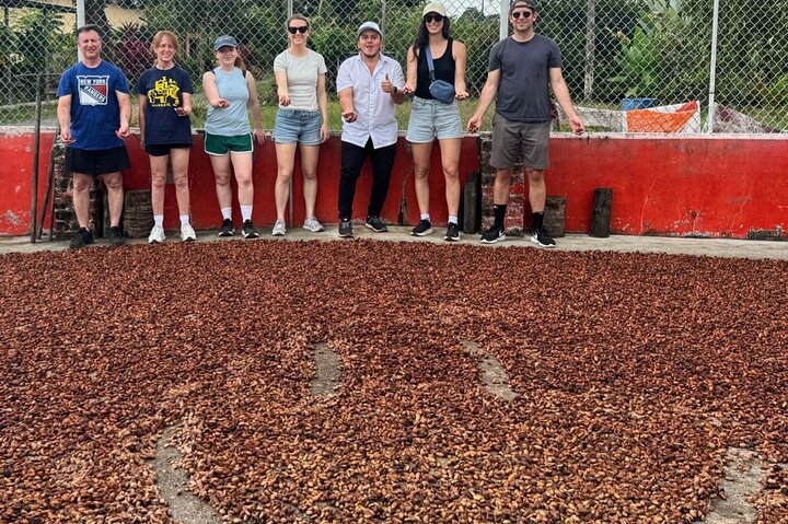 Cocoa and Tropical Fruits Farm with Fine Chocolate Experience