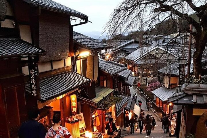 Kyoto Private customized Tour with Guide & Photographer