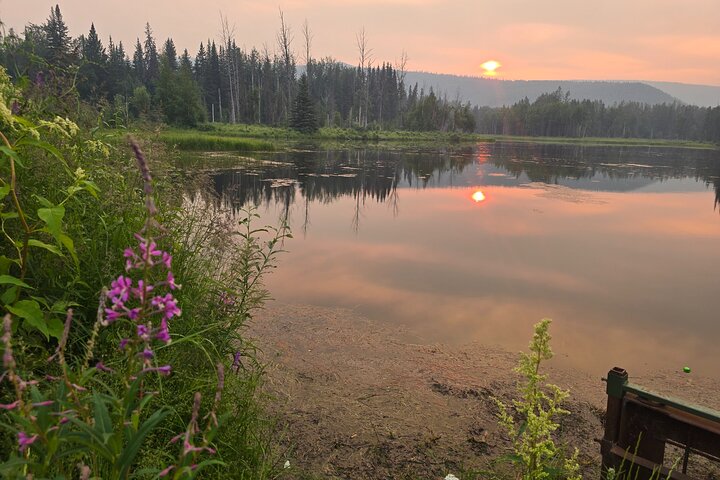 Midnight Sun Magic Chena Hot Springs Soak and Ice Museum Tour