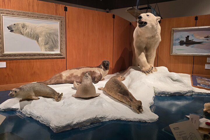 Fairbanks Top City Highlights Tour Summer/Fall