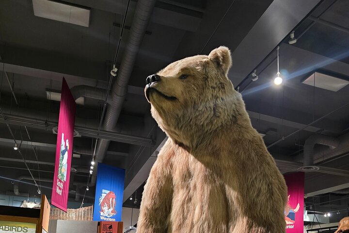 Fairbanks Top City Highlights Tour Summer/Fall