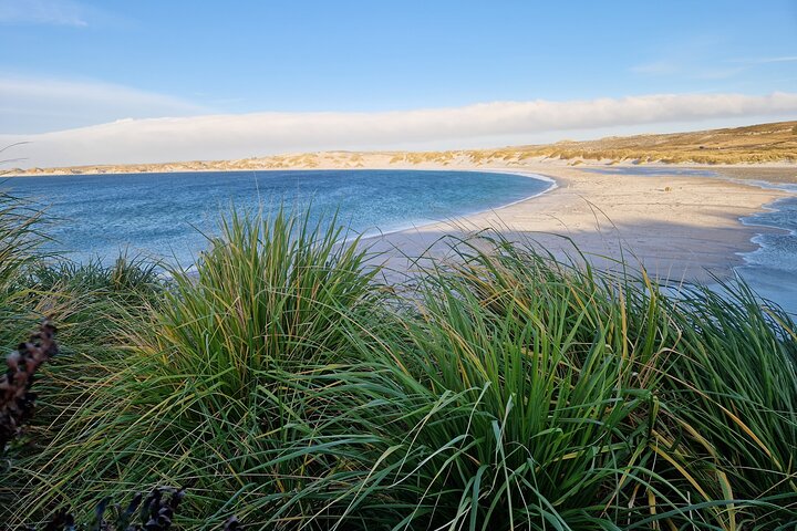 Private Falklands Guided Eco Nature Tour
