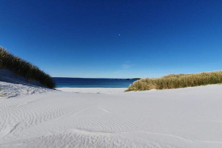 Private Falklands Guided Eco Nature Tour