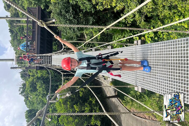 Tree Limin' Extreme Zipline
