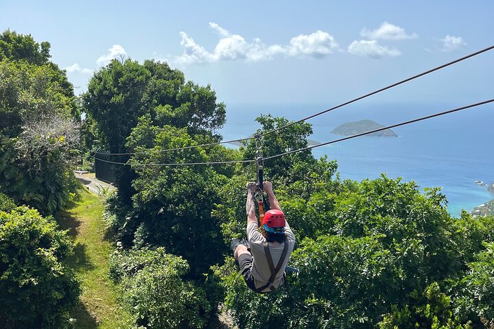 Tree Limin' Extreme Zipline