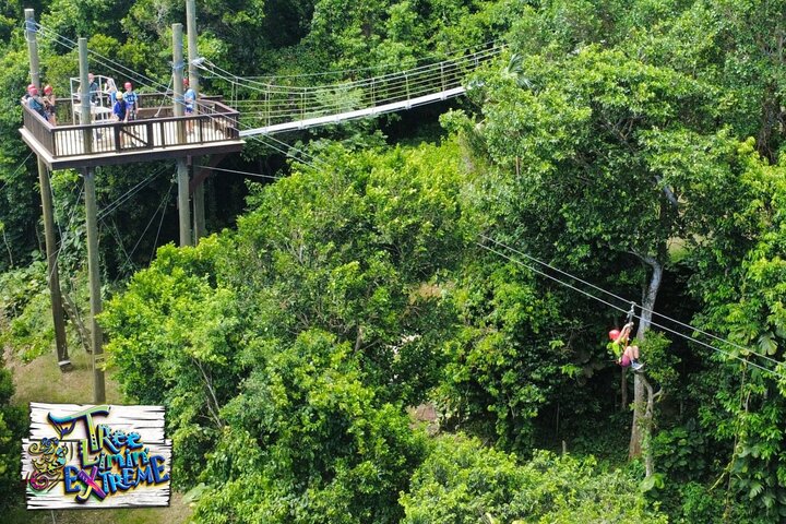 Tree Limin' Extreme Zipline