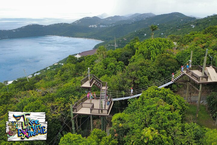 Tree Limin' Extreme Zipline