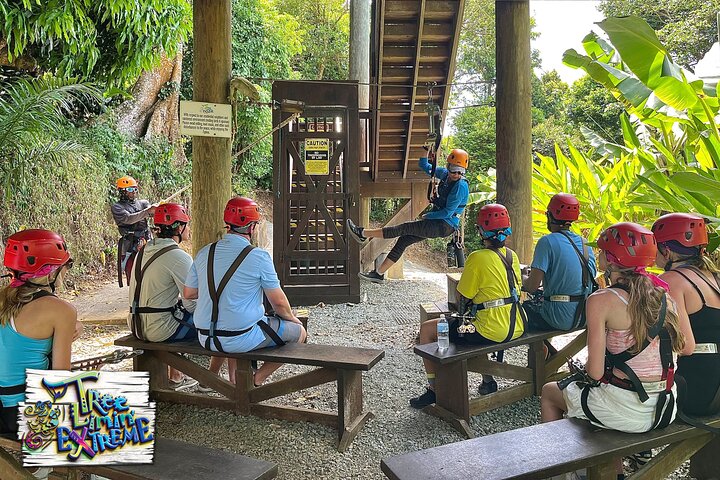 Tree Limin' Extreme Zipline