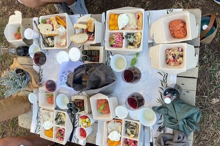 Picnic among the Olive Trees and Tasting of Oil and Local Flavors