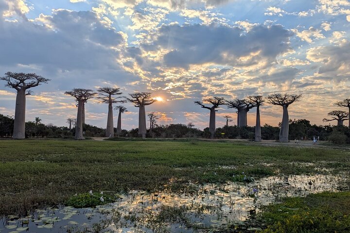 Morondava, Tsingy and Baobabs Tour - 4 days