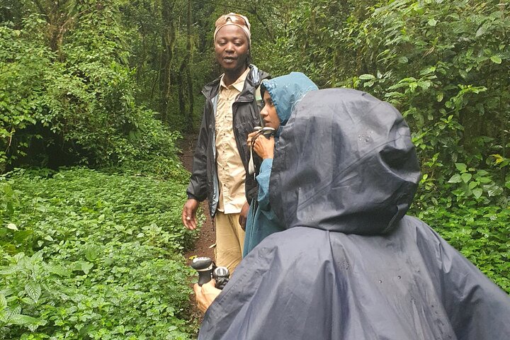 1 - Day Kilimanjaro Hike Challenge
