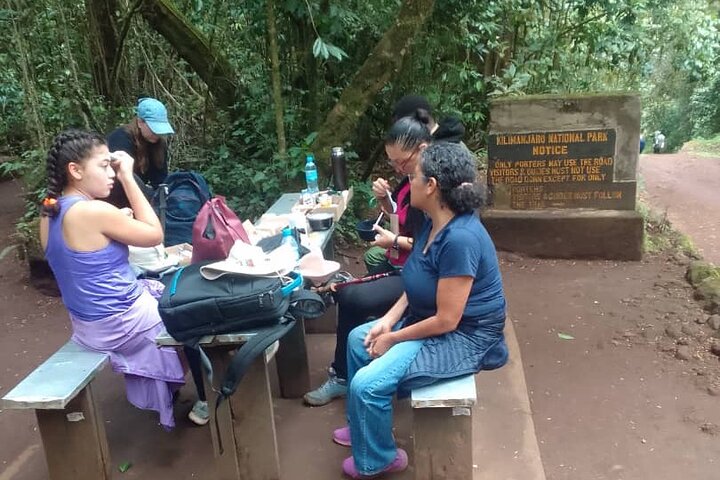 1 - Day Kilimanjaro Hike Challenge
