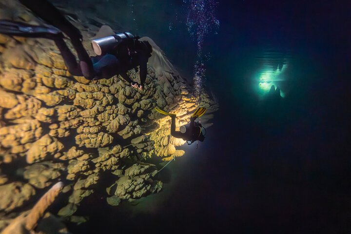 Bonito Cave Rappelling Boat Ride and Optional Activities