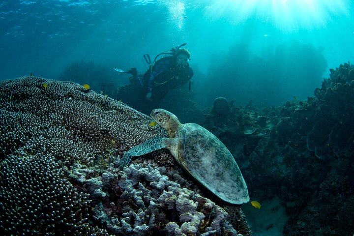 5 Night Ningaloo Reef Ningaloo Escape from Coral Bay