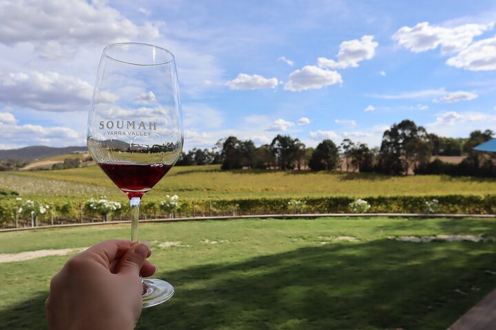 Yarra Valley Half-Day Winery Tour from Melbourne with Small Group