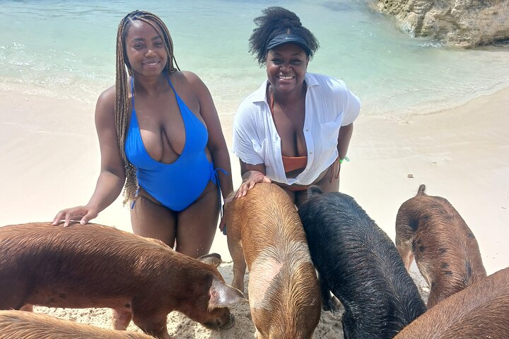 Nas: 3 islands Tour ,snorkel, Turtles, pigs and lunch