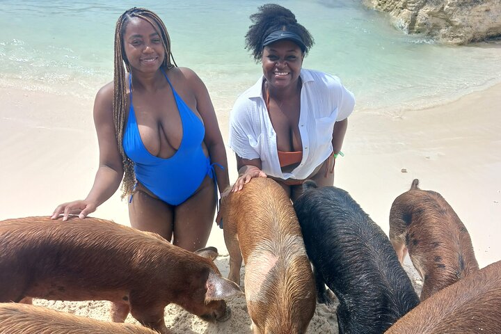 Nas: 3 islands Tour ,snorkel, Turtles, pigs and lunch