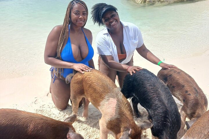 Nas: 3 islands Tour ,snorkel, Turtles, pigs and lunch
