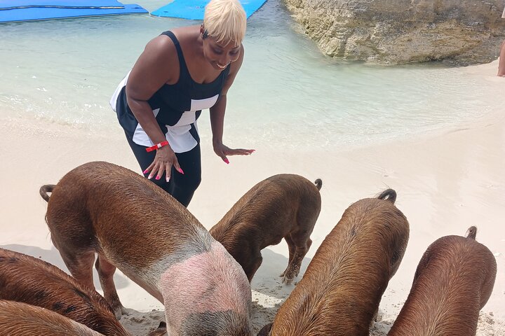 Nas: 3 islands Tour ,snorkel, Turtles, pigs and lunch