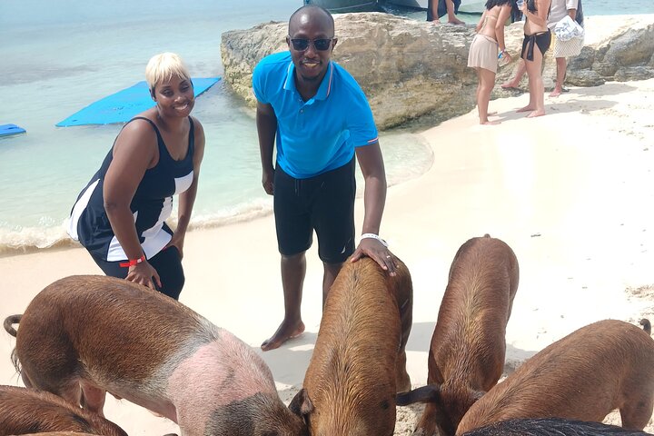 Nas: 3 islands Tour ,snorkel, Turtles, pigs and lunch