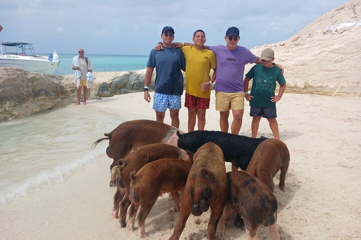 Nas: 3 islands Tour ,snorkel, Turtles, pigs and lunch