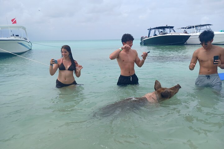 Nas: 3 islands Tour ,snorkel, Turtles, pigs and lunch