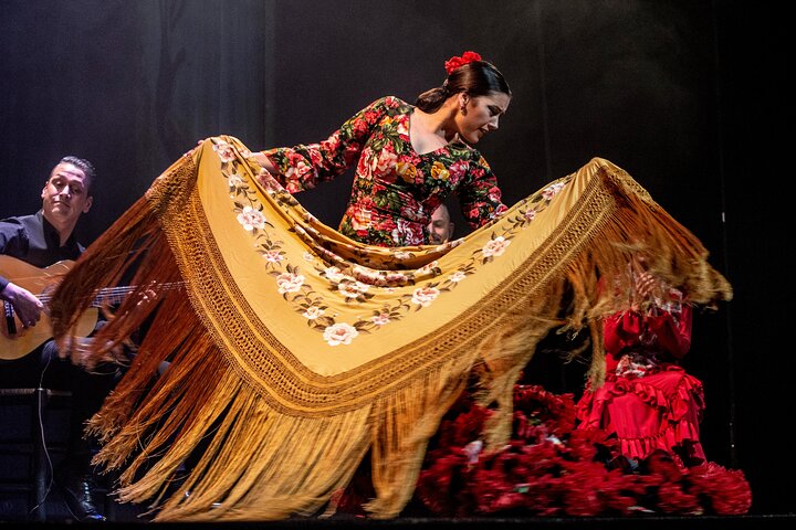 The Premium Experience at Teatro Flamenco Madrid