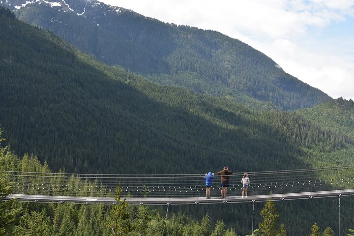 Whistler, Sea to Sky Gondola, & Shannon Falls Tour from Vancouver