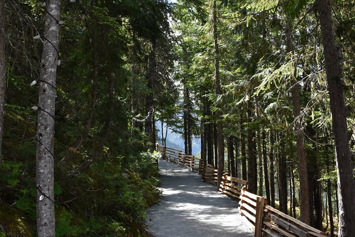 Whistler, Sea to Sky Gondola, & Shannon Falls Tour from Vancouver