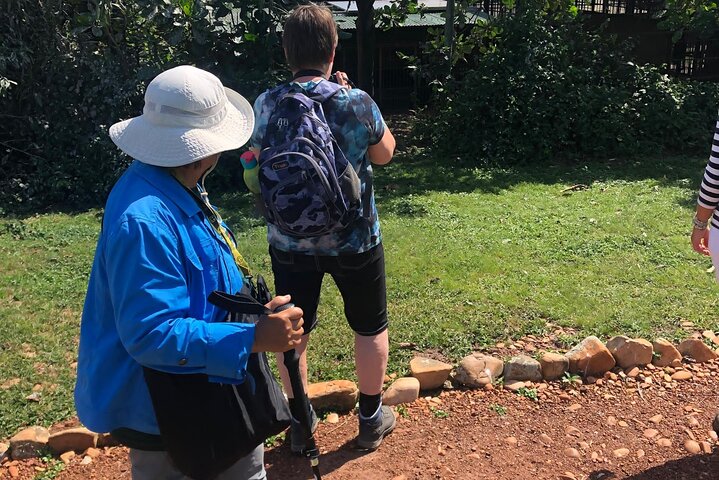 Ngamba Island Chimpanzee Experience, Entebbe and Victoria Tour