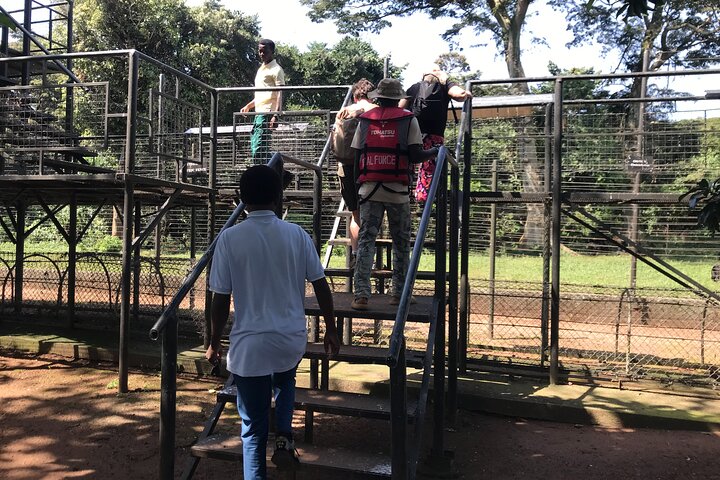 Ngamba Island Chimpanzee Experience, Entebbe and Victoria Tour
