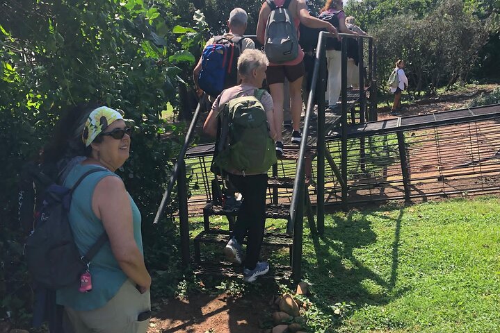 Ngamba Island Chimpanzee Experience, Entebbe and Victoria Tour