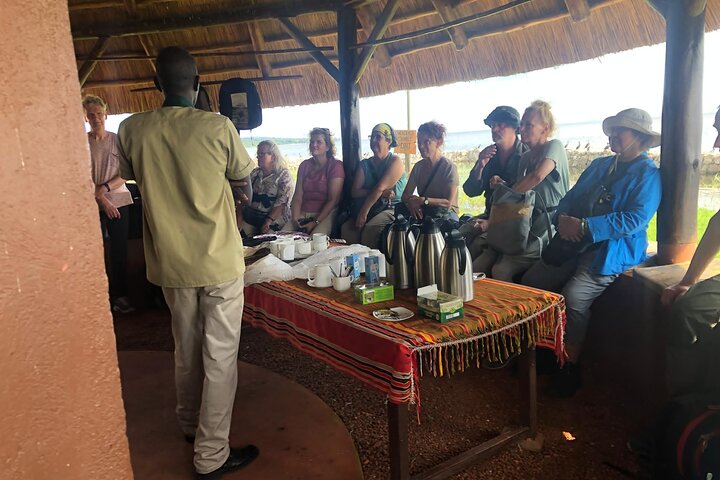 Ngamba Island Chimpanzee Experience, Entebbe and Victoria Tour