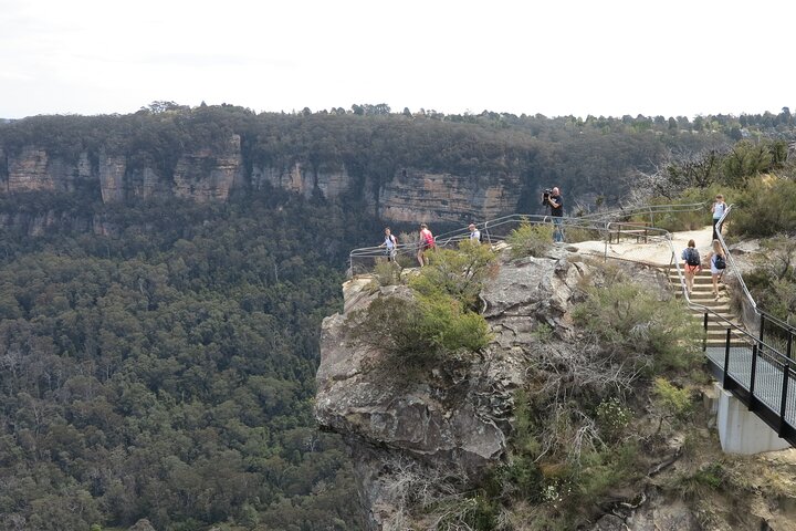 Exclusive Blue Mountains Wildlife and Bushwalk Tour From Sydney