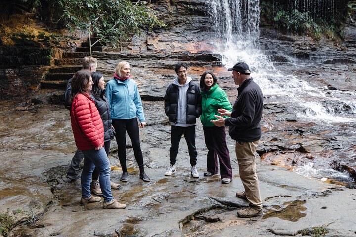 Exclusive Blue Mountains Wildlife and Bushwalk Tour From Sydney