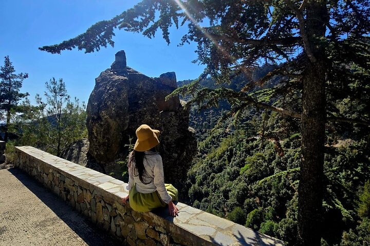 Troodos Mountains, Kykkos and Omodos Bus Tour from Paphos