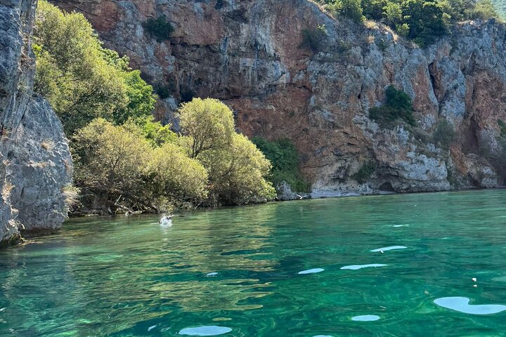 Lake Ohrid Kayaking with beach and BBQ Lunch