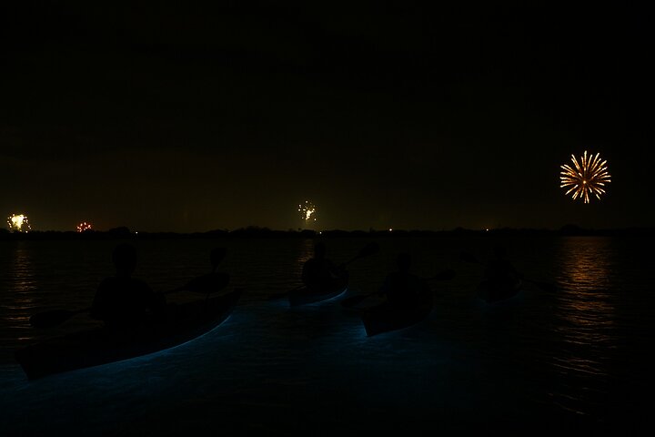 Kayak Tours and Rentals. Dolphins, Manatees, and Bioluminescence!