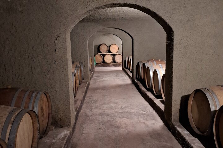 Excursión de 3 bodegas y 1 olivícola con degustación