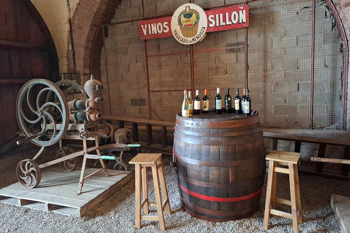 Excursión de 3 bodegas y 1 olivícola con degustación
