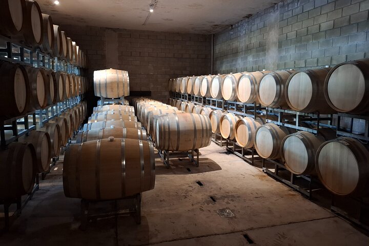 Excursión de 3 bodegas y 1 olivícola con degustación
