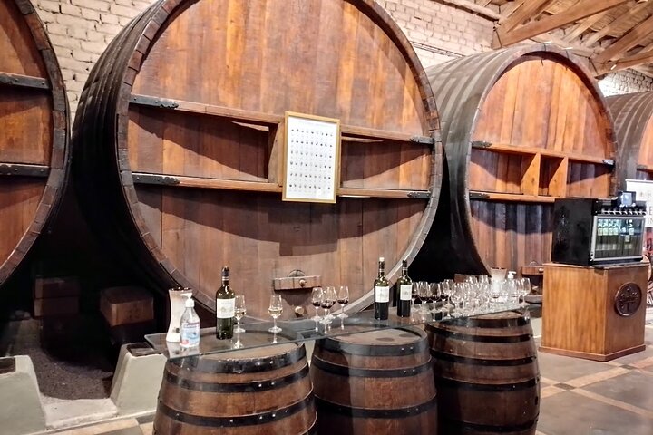 Excursión de 3 bodegas y 1 olivícola con degustación