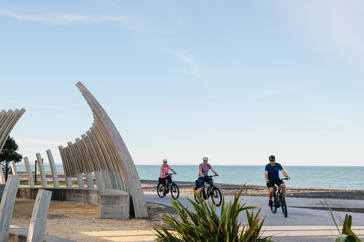 Napier E-bike Hire