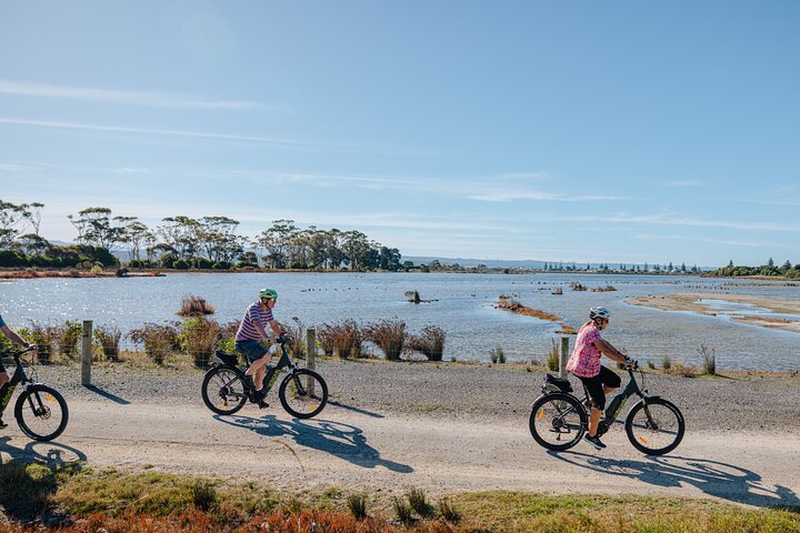 Napier E-bike Hire