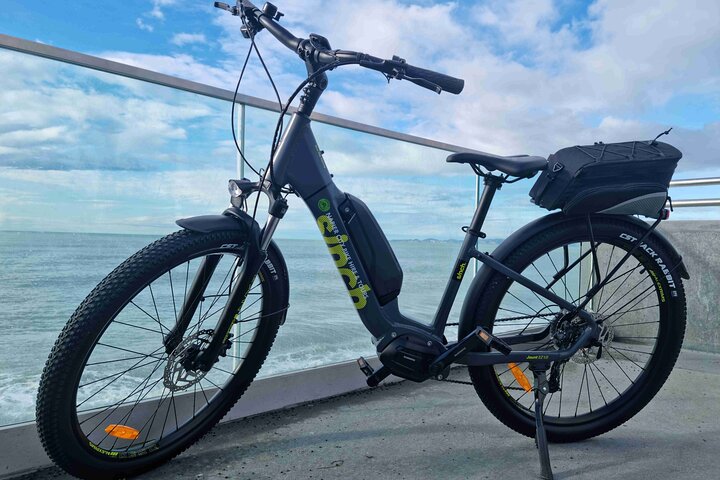 Napier E-bike Hire