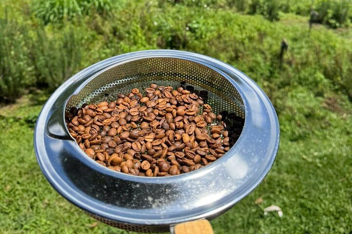 Coffee Farm Tour with Roasting & Tasting Workshop - Da Lat