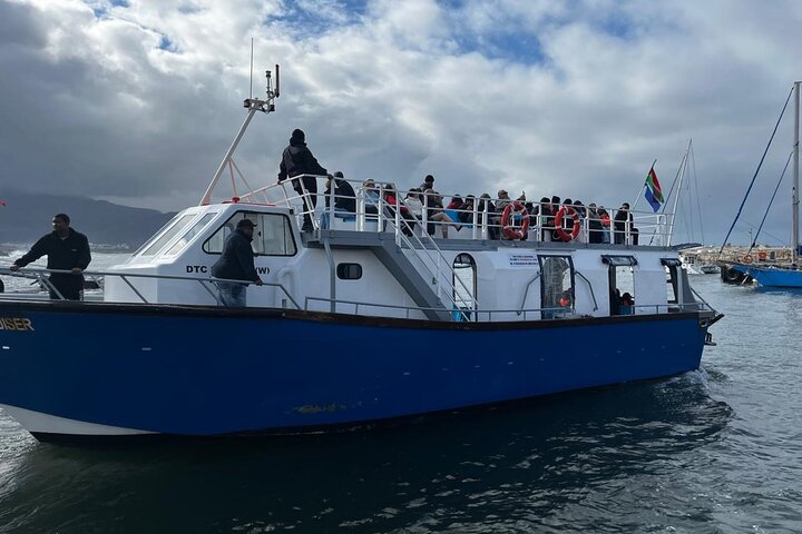 Private Hermanus Whale Watching Shoreline Day Tour from Cape Town