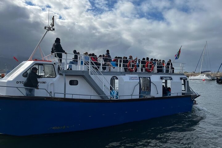 Private Hermanus Whale Watching Shoreline Day Tour from Cape Town