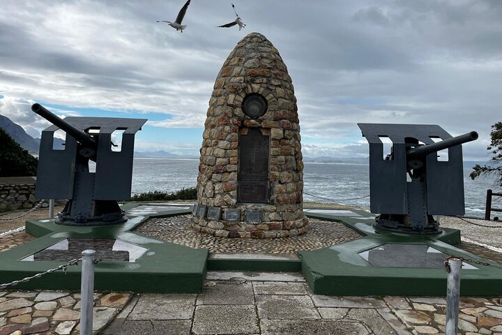 Private Hermanus Whale Watching Shoreline Day Tour from Cape Town